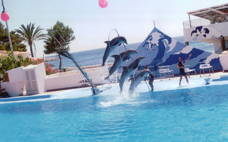 Batumi Dolphinarium Park