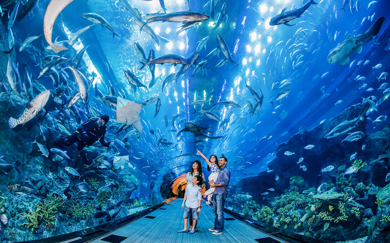 Dubai Aquarium, underwater world in Dubai Mall