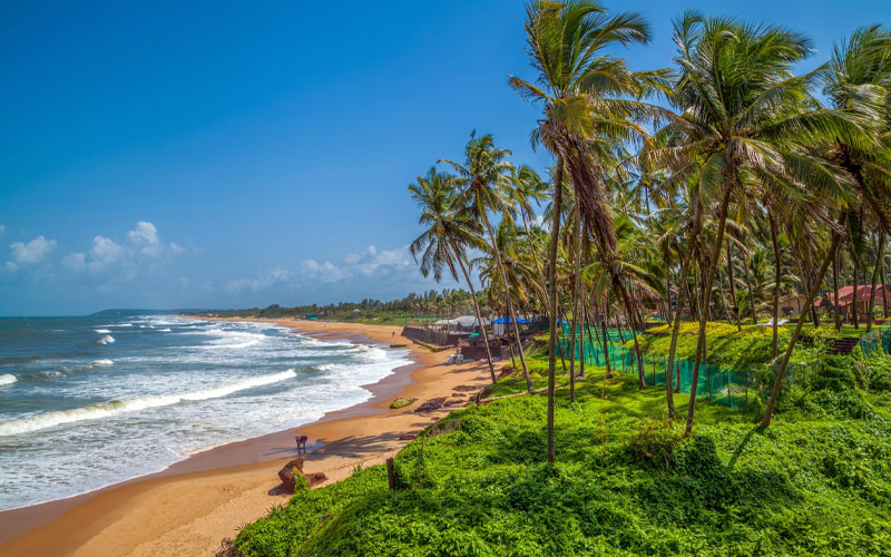 Get to know the most beautiful beaches in India
