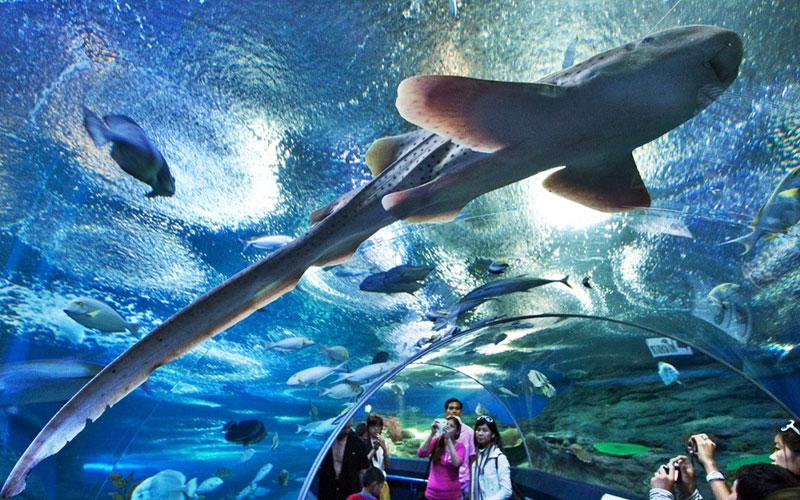 Phuket Aquarium and Underwater World