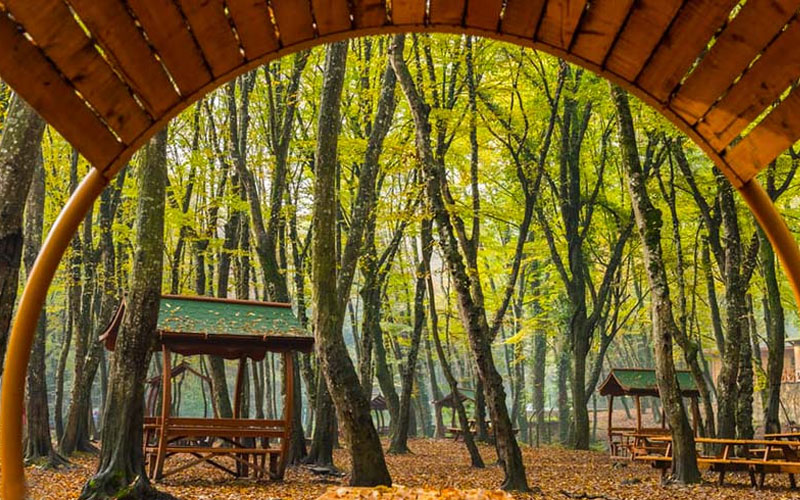 Wonderful nature in the forest of Belgrade, Istanbul