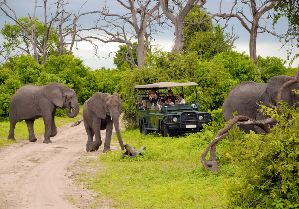 Kruger National Park-پارساگشت