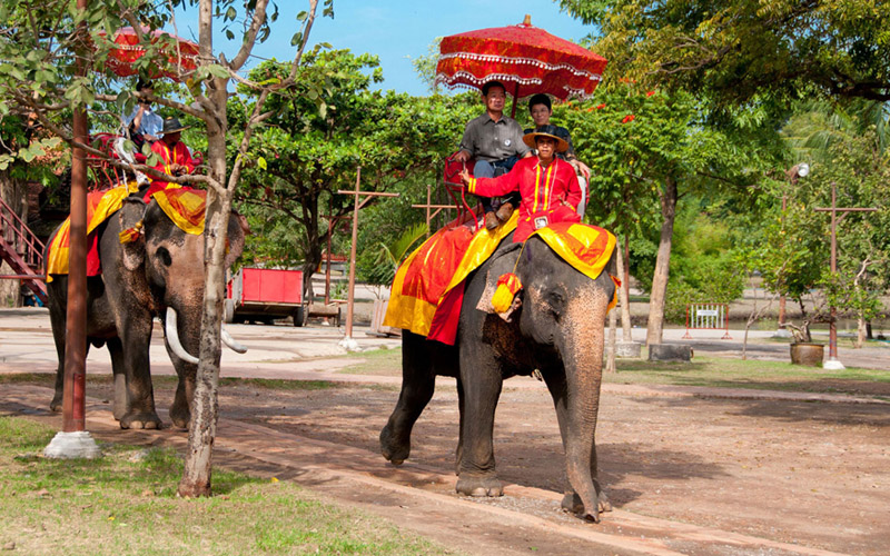 The joy of elephant riding | Thiland